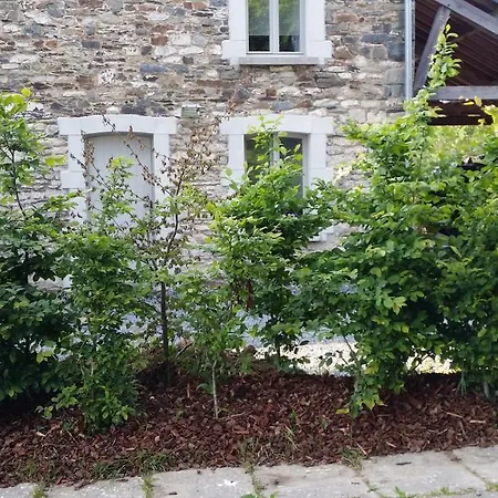 La Maison Du Marronnier * Ochamps