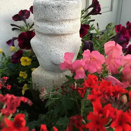 La Maison Du Marronnier 招待所